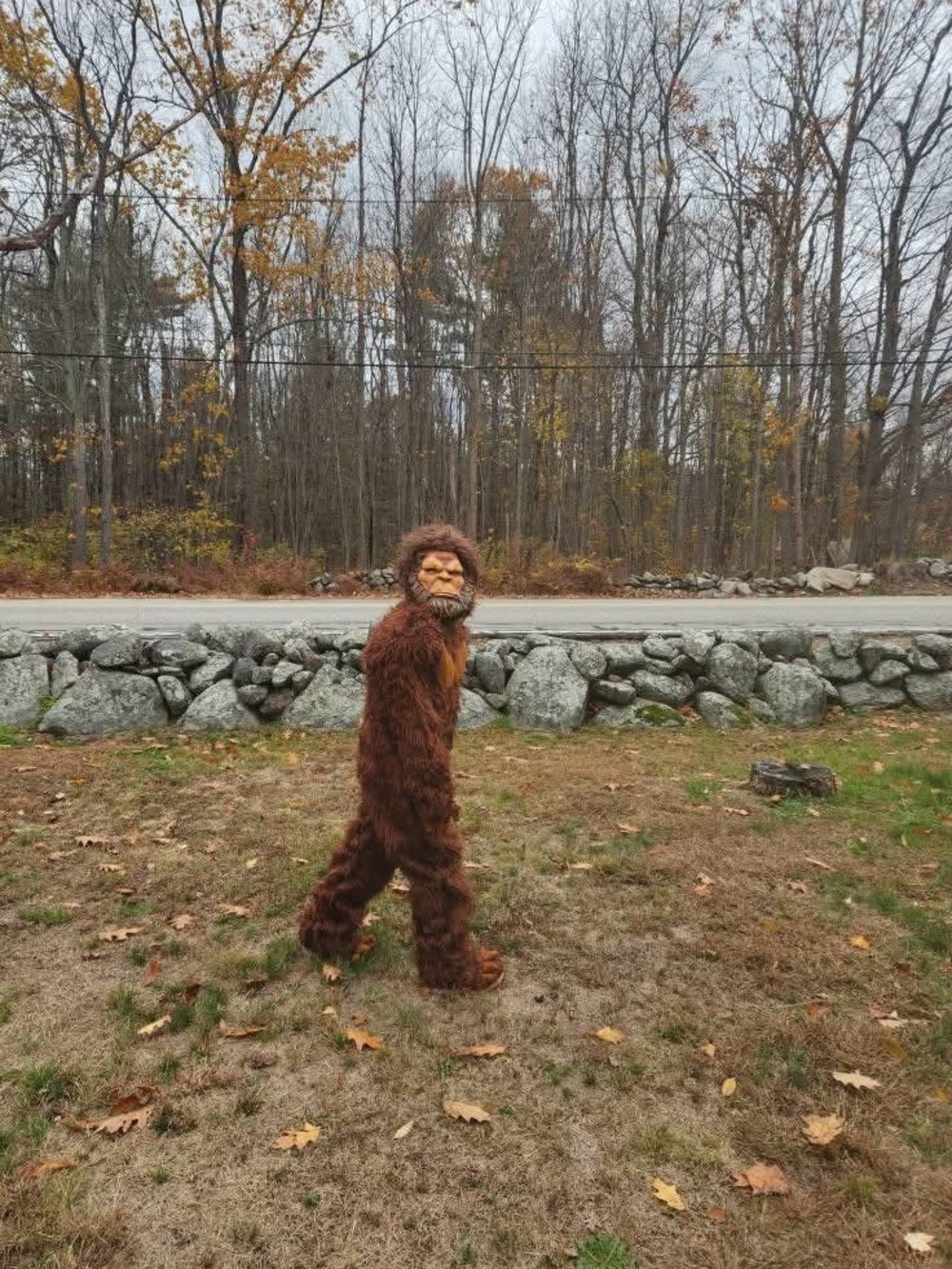 Brown Sasquatch Kids Costume - Plush Full-Body Outfit. Youth Large. 2 Masks